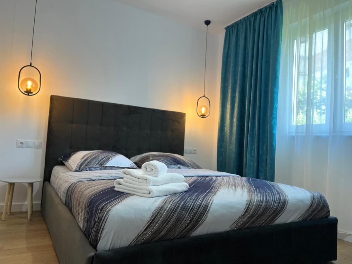 Alexander Cozy Apartment Free Private Parking Mediaş Eksteriør bilde